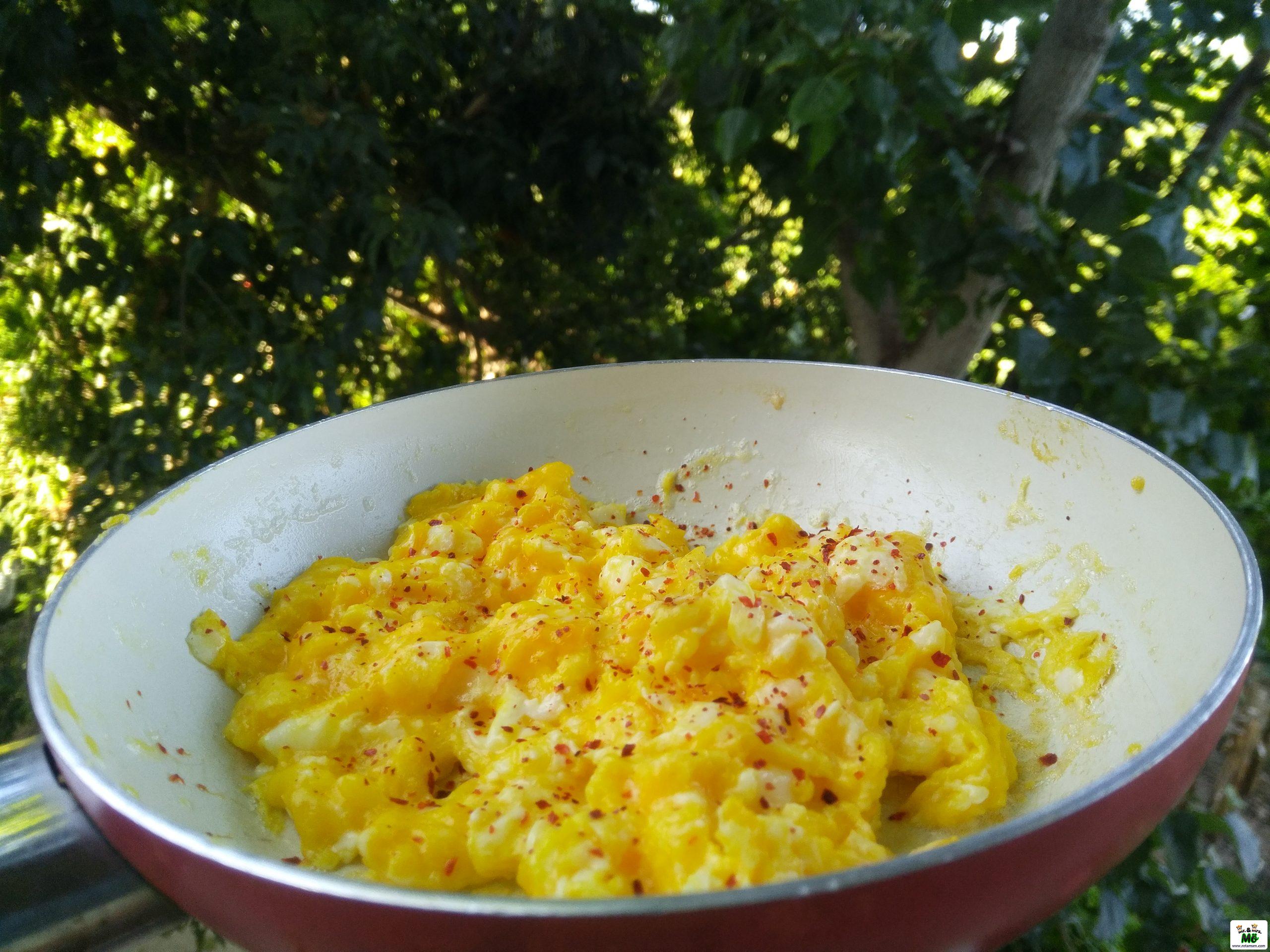 Tereyağlı Yumurta 1 – Tereyağlı Yumurta 1 – img 20190606 080405 3 scaled
