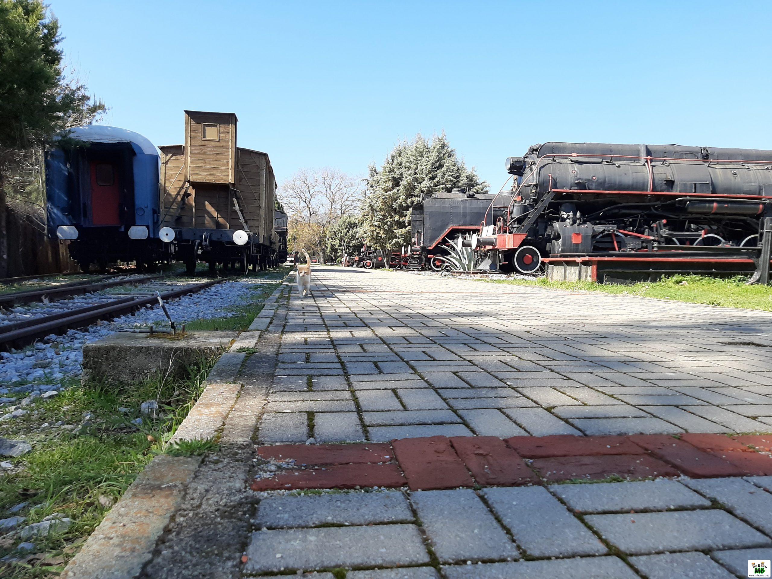 Çamlık Buharlı Lokomotif Müzesi - Selçuk 38 – camlik buharli lokomotif muzesi selcuk 37 scaled