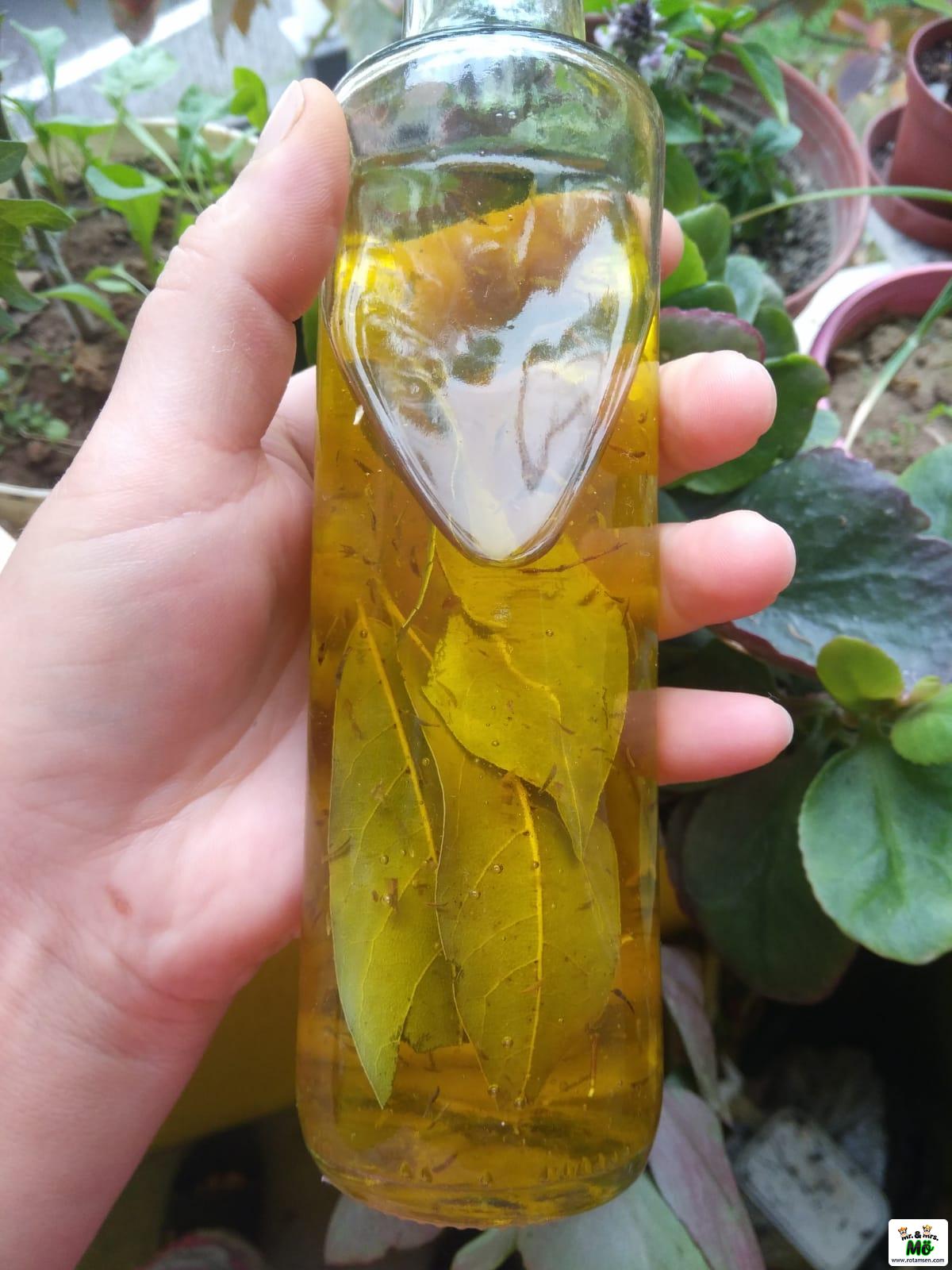 Aromalı Zeytinyağı Tarifi 2 – aromali zeytinyagi 1
