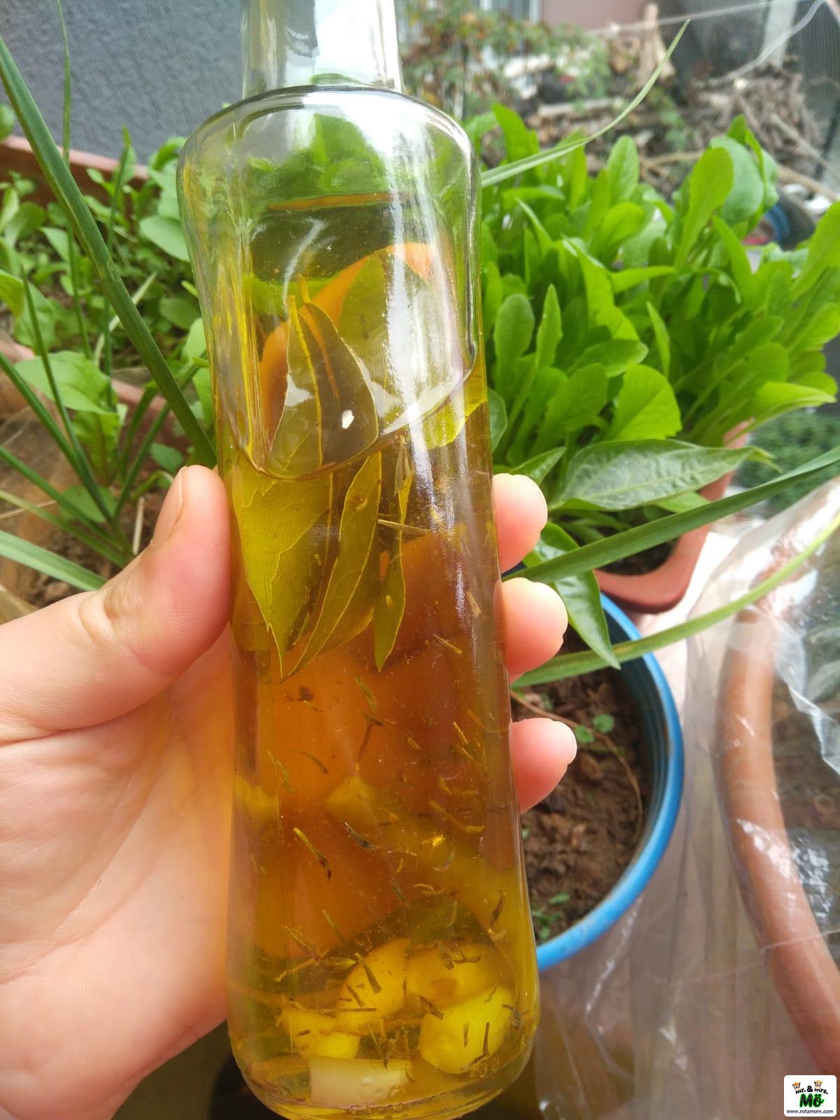 Aromalı Zeytinyağı Tarifi 3 – aromali zeytinyagi 3